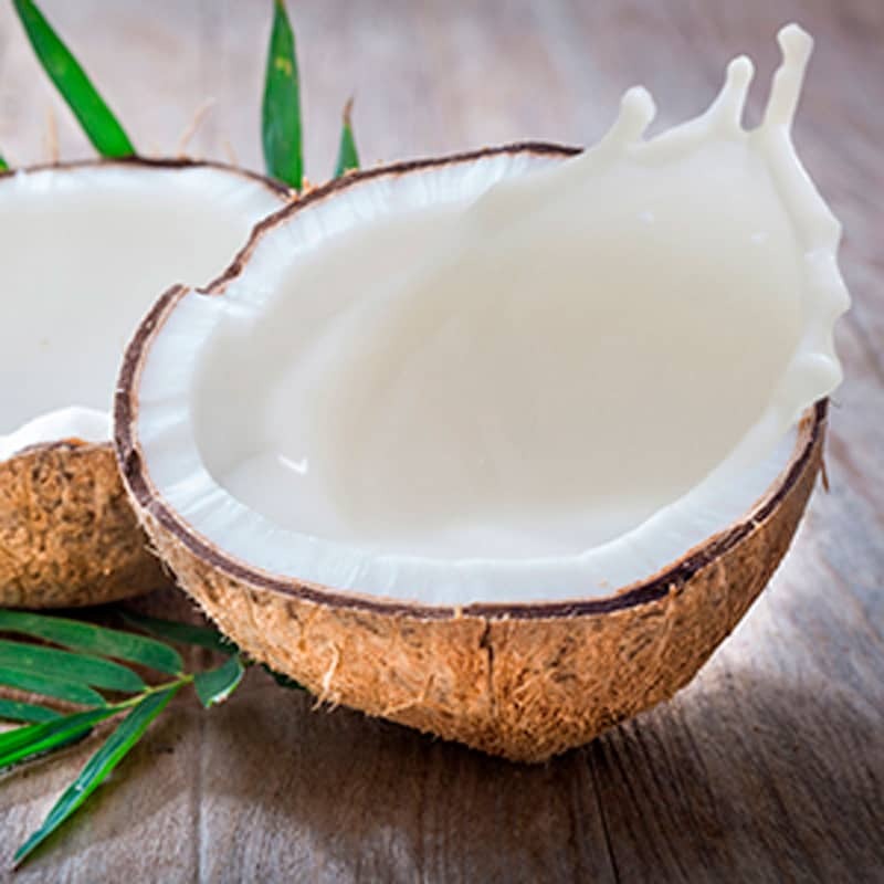 Segoi Organic COCONUT MILK CONDITIONER 1 Liter