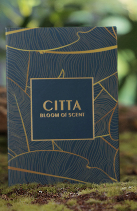 Citta Bloom of Scent Soy Bean Wax SCENTED CANDLE | Lemon Verbena w/ BOX
