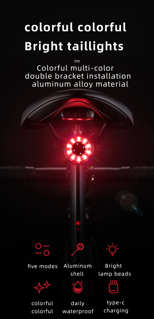 Rockbros BICYCLE TAIL LIGHT USB Rechargeable - MULTIPLE COLOR