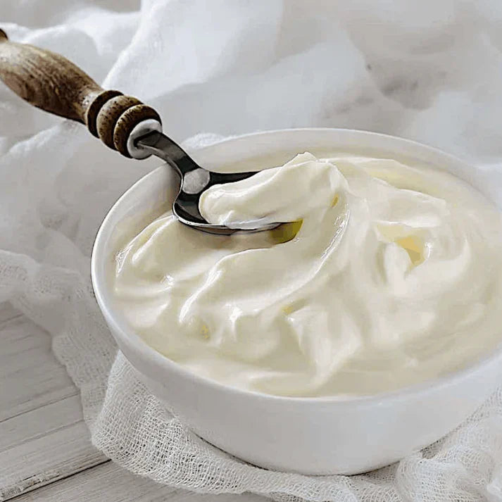 GREEK YOGURT STARTER makes 30L/50L (freeze-dried) - IN POUCH