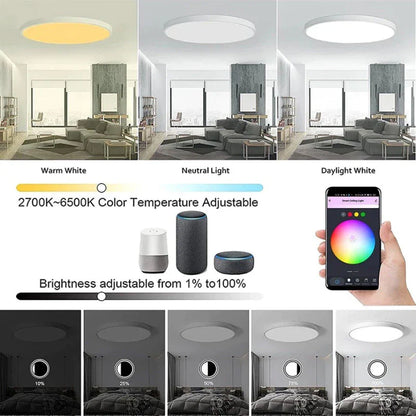 Tuya Wi-fi Smart Ceiling Light LED Bulb RGBCW 24W Dimmable Light Smart Life Works With Alexa Google Home