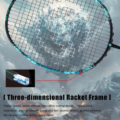 ALP SPORT 1pc XW The Tortoise 6U G4 Badminton Racket