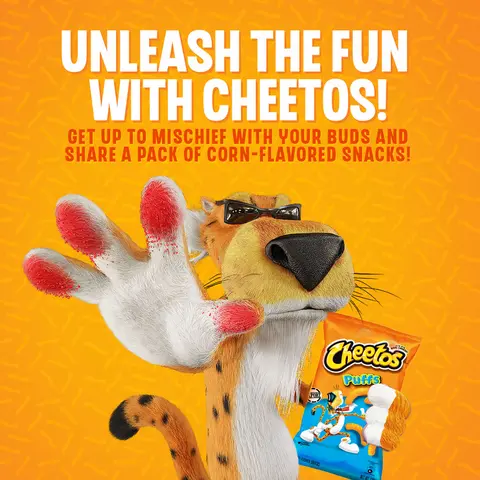 1 CASE Cheetos Corn Puffs Cheese Flavored Snack (220g x 10pcs)