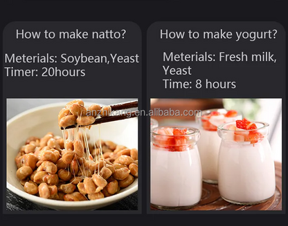 6L Yogurt Making Machine and Black garlic Fermentation Machine [Multifunction]