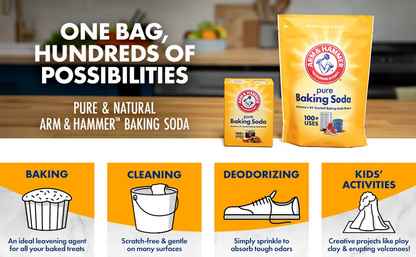 ARM & HAMMER Pure Baking Soda (1lb / 454g / 16oz)