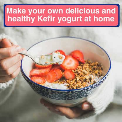 CALCIUM+ JAPANESE ORIGINAL KEFIR STARTER CULTURE (yogurt-style) 12 SACHETS IN 1 POUCH - 1 sachet makes 1 liter
