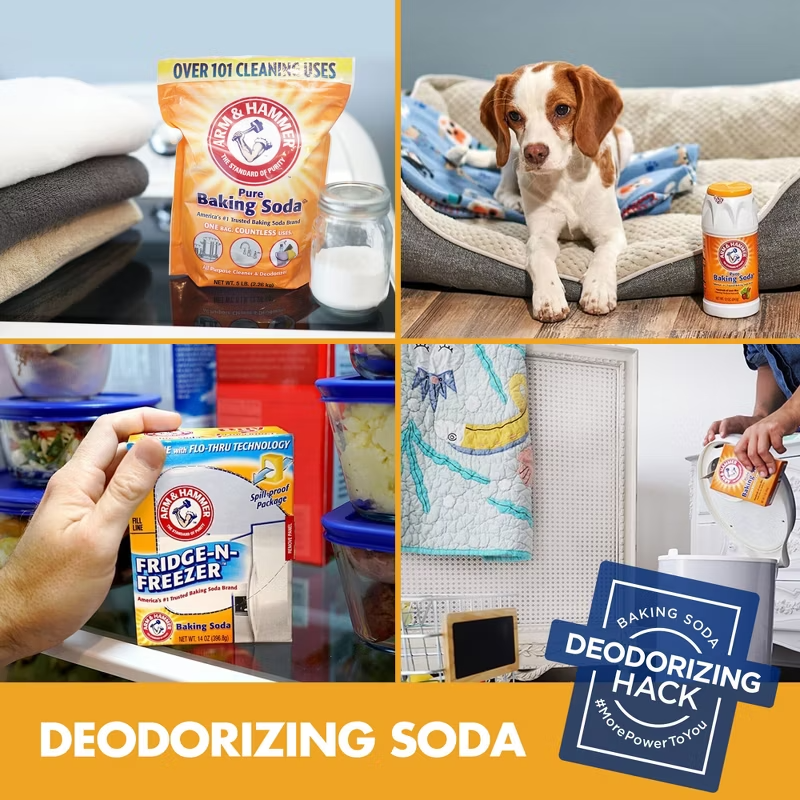 ARM & HAMMER Pure Baking Soda (1lb / 454g / 16oz)