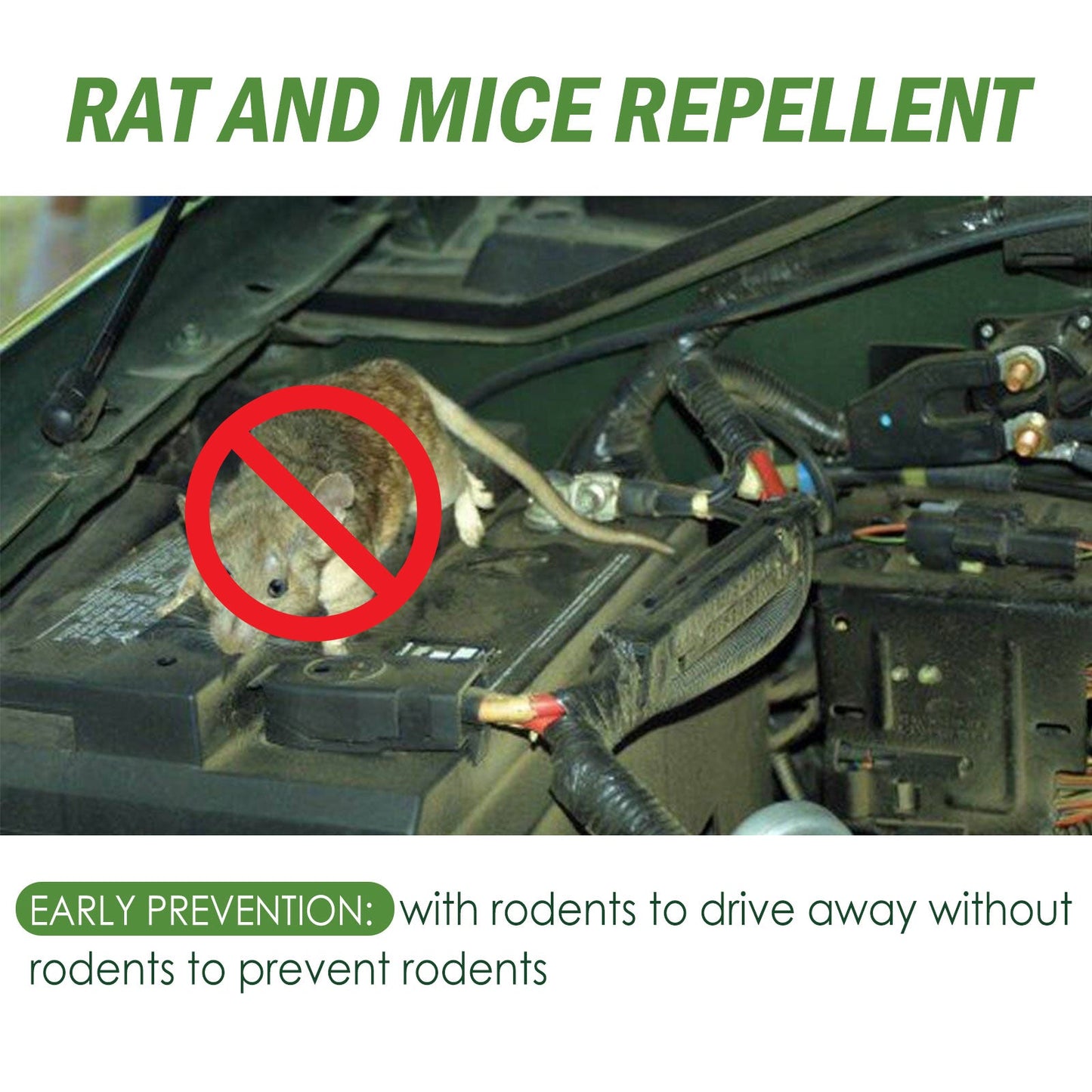 Yegbong RAT AND MOUSE REPELLENT