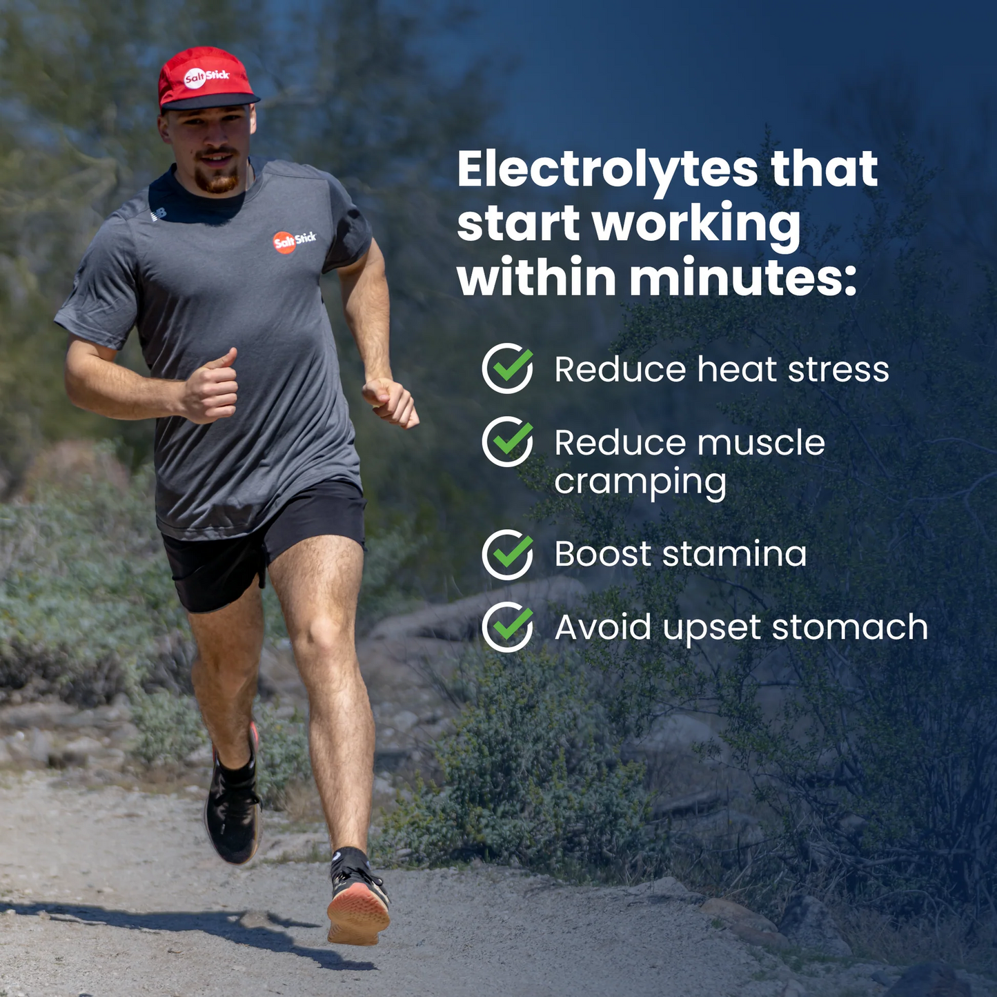 SaltStick Electrolyte FastChews [Coconut Pineapple] - Packet of 10Tablets