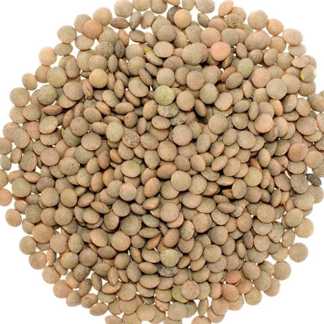 EasyCook LENTILS [400G]