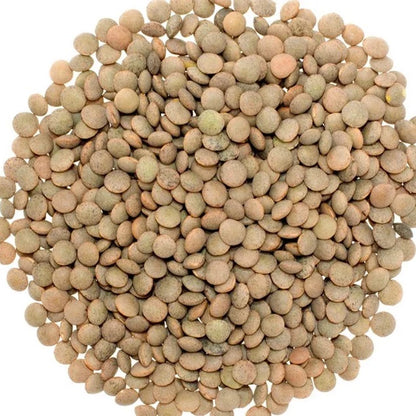EasyCook LENTILS [400G x 30]